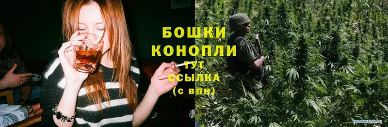 Бошки марихуана White Widow  кракен зеркало  Выборг 